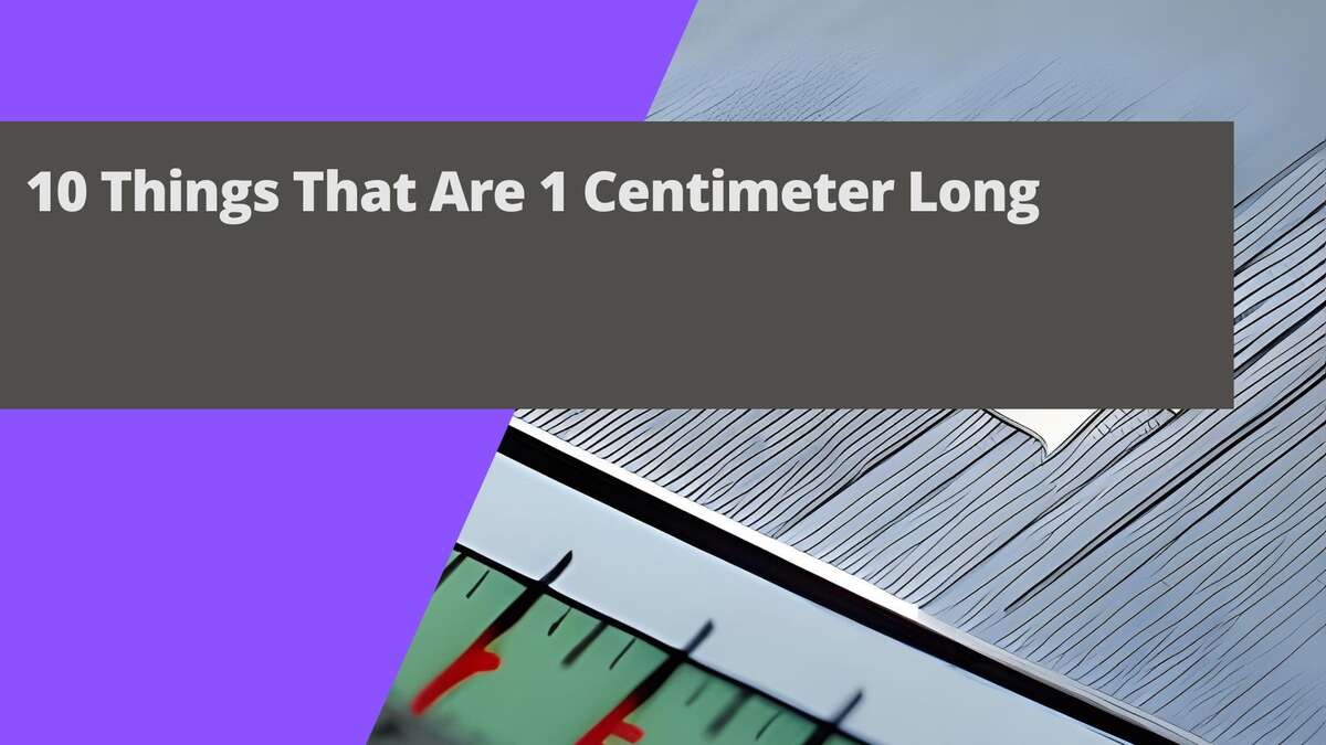 10 Things That Are 1 Centimeter Long